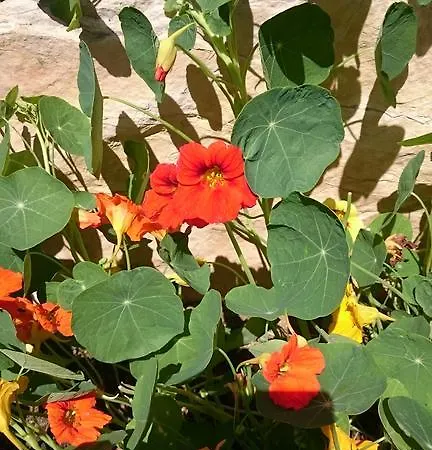 Apartamento Irma Baška Voda