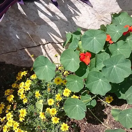 Irma Apartamento Baška Voda